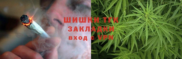 винт Каменка