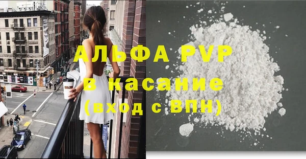 винт Каменка
