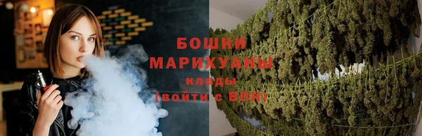 винт Каменка