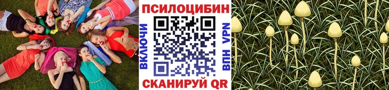 Псилоцибиновые грибы Cubensis  Купить закладки  Гаврилов-Ям 